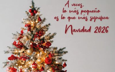 Catálogo porras y lotes de navidad 2026